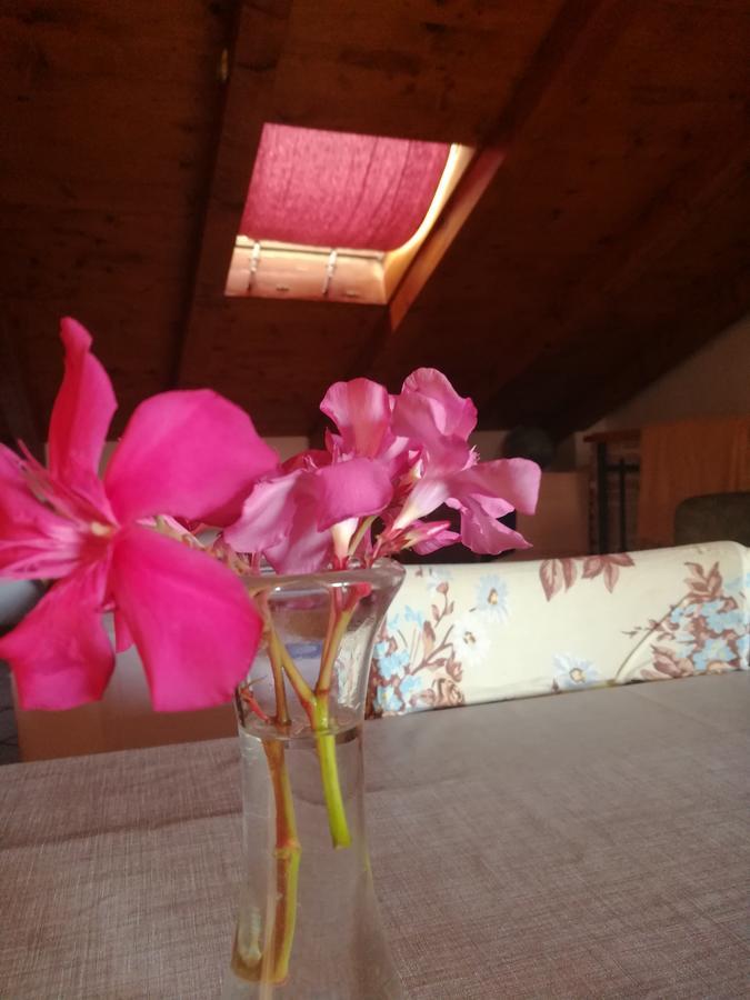 La Calletta Ровинь Экстерьер фото
